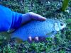 karsten_20080308_01_jpg_jpg_t1.jpg