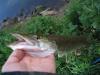 karsten_20080501_02_jpg_jpg_t1.jpg