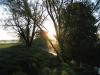 karsten_20080510_02_jpg_jpg_t1.jpg