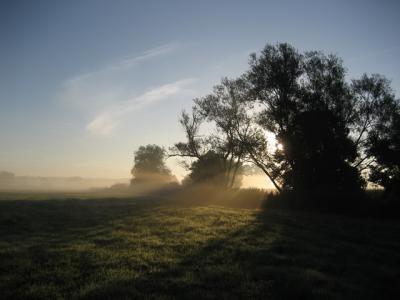 Sonnenaufgang in der Oberau