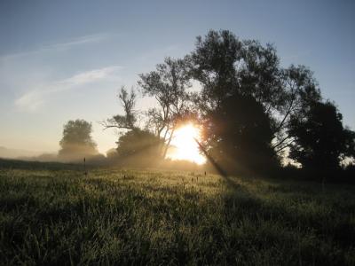 Sonnenaufgang in der Oberau