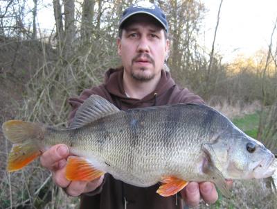 teichbarsch_20032014sfvschwalm.jpg