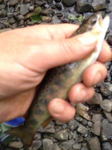 2015_07.jpg
