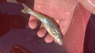 img_4862.jpg